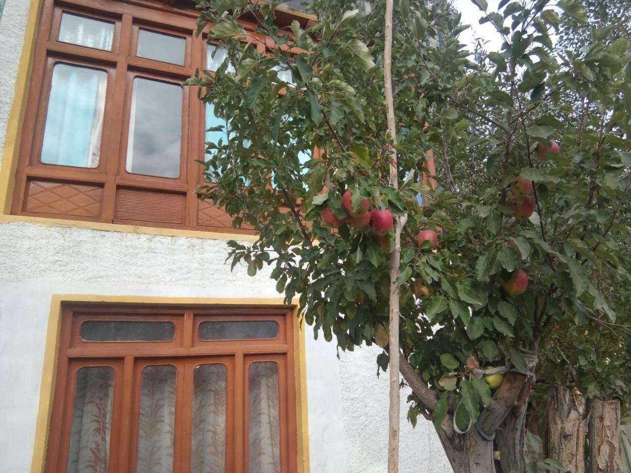 Achina Otel Leh Dış mekan fotoğraf